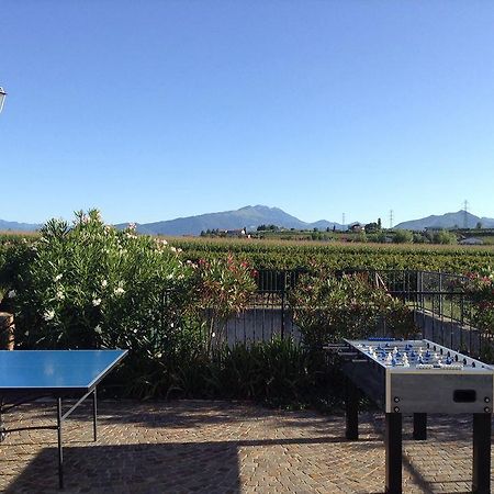 Agriturismo Anna Caterina Castelnuovo del Garda Ngoại thất bức ảnh