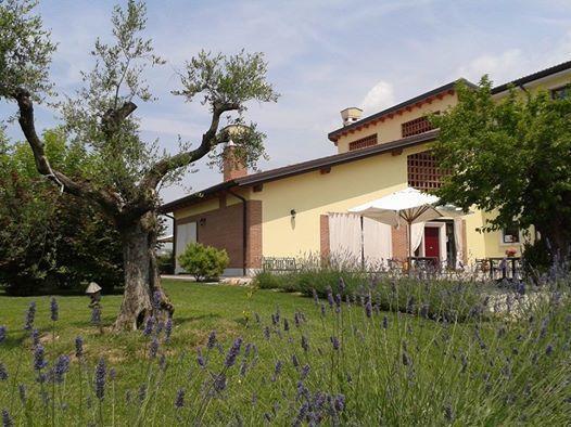 Agriturismo Anna Caterina Castelnuovo del Garda Ngoại thất bức ảnh